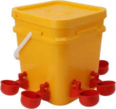 Bebedero Automático para Aves de Corral