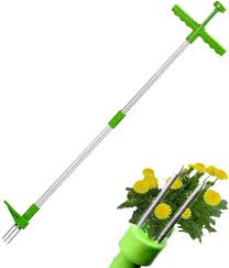 Extractor Vertical Tioheam para Malas Hierbas