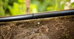 Riego por Goteo y Fertirrigación Eficiente