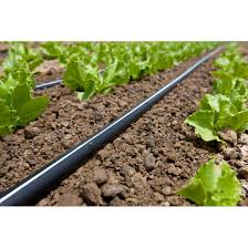 Cinta de Riego TSX 508 - 100 mts